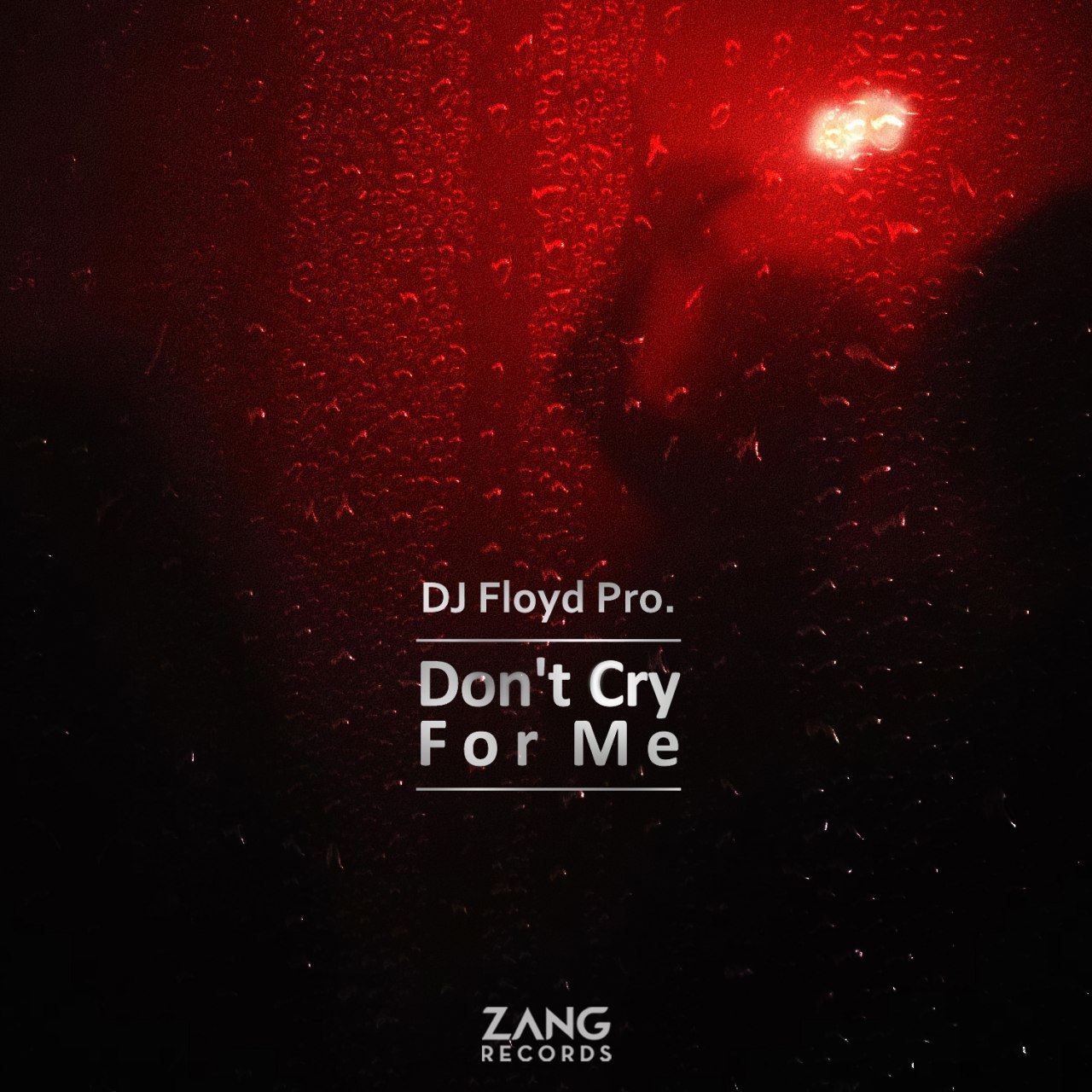 Don't Cry For Me