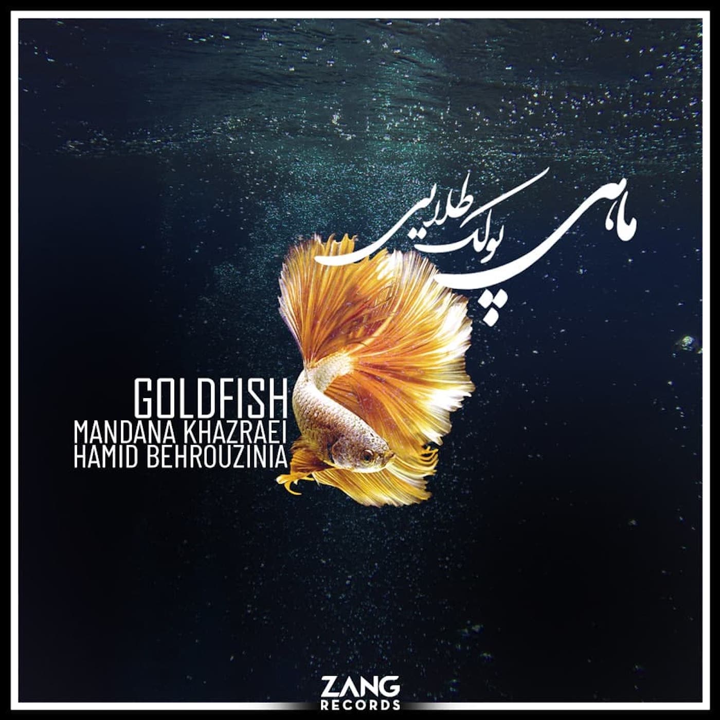 Goldfish